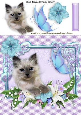 Fluffy Kitten in Flower Frame with Butterflies
