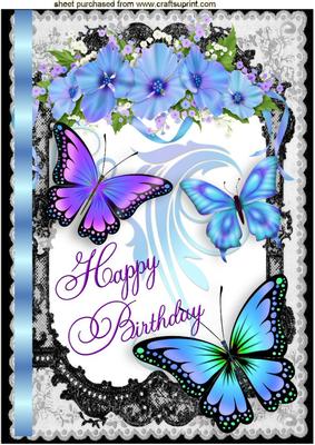 Butterflies and Flowers in Lace Frame A4