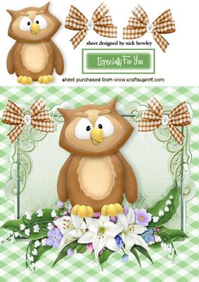 Cute Little Owl in Flower Frame with Gingham Bows