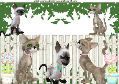 Well Hello There! Cheeky Cats in the Garden A4
