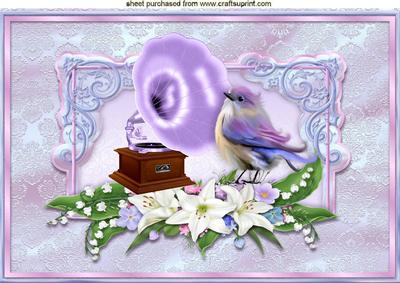 Cute Little Bird with Gramophone in Floral Frame A4