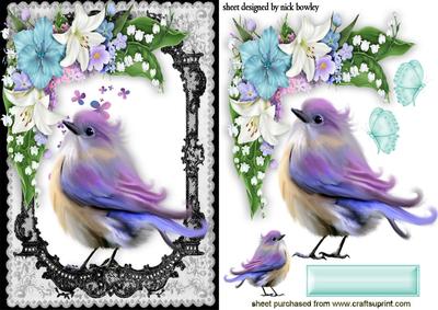 Pretty Bird with Butterflies in Lace Frame