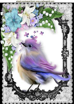 Little Bird in Lace Frame with Flowers A4