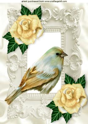 Sweet Little Bird with Roses in Ornate Frame A4