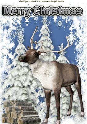 Reindeer in the Snow with Snowy Tree A4