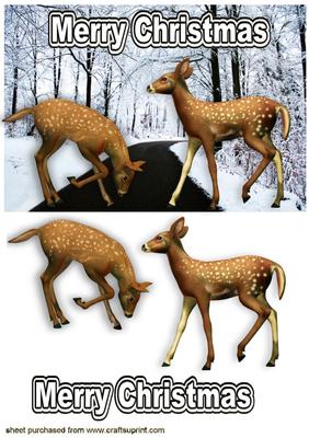 Cute Deers Playing on a Snowy Road