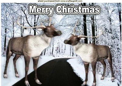 Reindeers on a Snowy Road A4