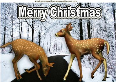 Cute Deers Playing on a Snowy Road A4