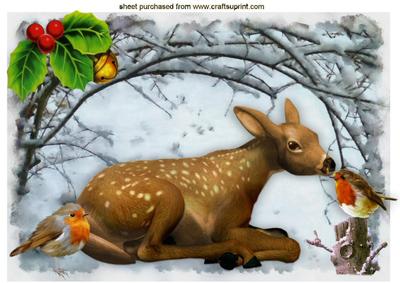 Cute Deer with Robins in the Snow A4