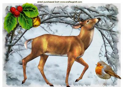 The Proud Stag with Cute Little Robin A4