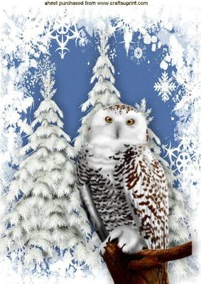 Beautiful Snow Owl with Winter Scene A4