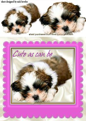 As Cute as Can Be, Puppy in a Pink Frame