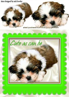 As Cute as Can Be, Puppy in a Green Frame
