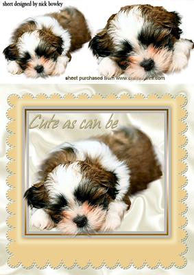 As Cute as Can Be, Puppy in a Beige Frame