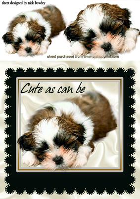 As Cute as Can Be, Puppy in a Black Frame