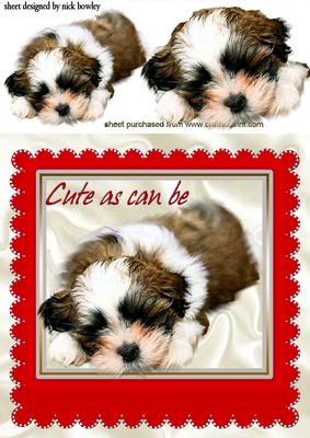 As Cute as Can Be, Puppy in a Red Frame