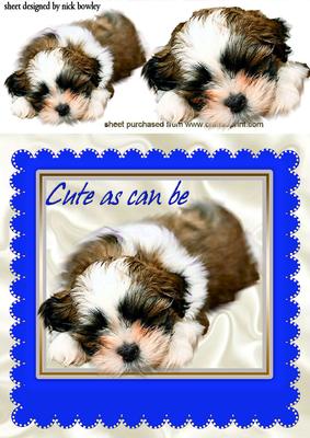 As Cute as Can Be, Puppy in a Blue Frame