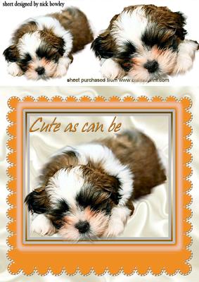 As Cute as Can Be, Puppy in a Orange Frame