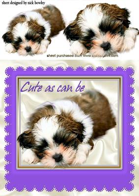 As Cute as Can Be Puppy in Purple Frame