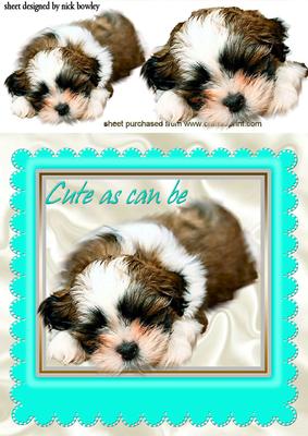 	as Cute as Can Be Puppy in Turq Frame