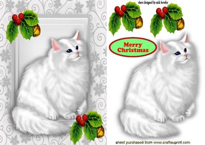White Persian Cat with Holly