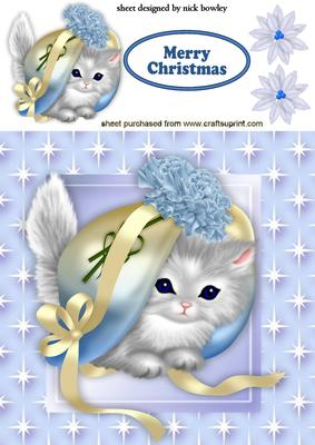 White Kitty Under a Bonnet in Star Frame