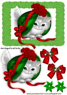 Little Kitty in Green and Red Bonnet in Frill Frame