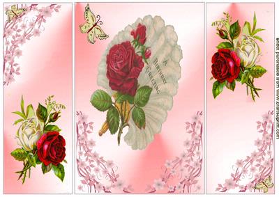 Beautiful Rose Detail with Fan Gate Fold