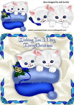 Cute Kitties in Blue Santa Hat
