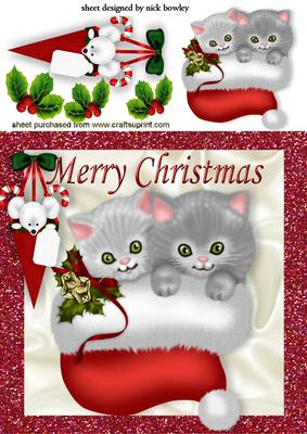 Cute Kitties in Santa Hat with Cheeky Mouse in a Cone