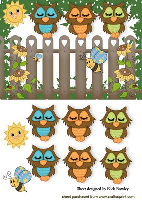 Sleepy Owls Enjoying the Sunshine
