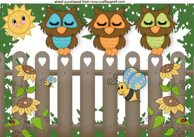 Sleepy Owls Enjoying the Sunshine A4