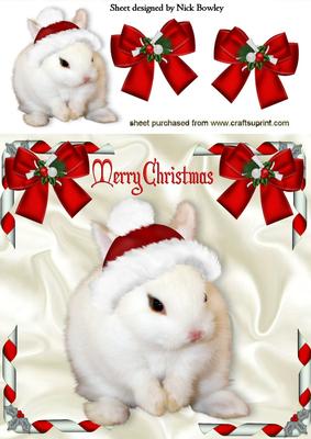 White Fluffy Bunny in Santa Hat