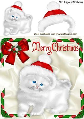 Fluffy White Kitty with Santa Hat On