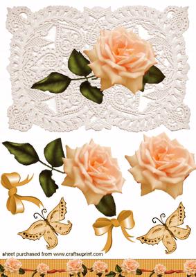 Beautiful Peach Roses with Stunning Ecru Lace Background
