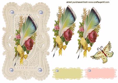 Vintage Feather Feather on Rose with Beautiful Lace Background