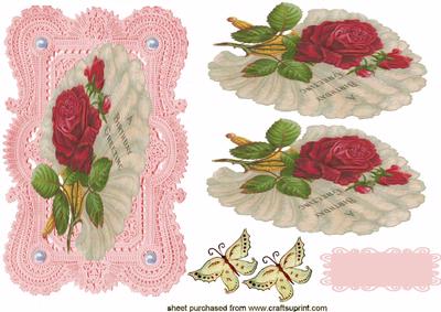 Beautiful Floral Fan of Roses on Lace Background