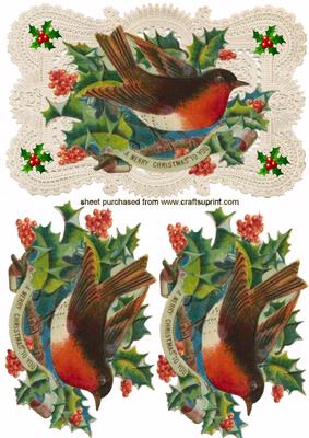 Beautiful Christmas Robin Quick Card on Lace Backing Paper