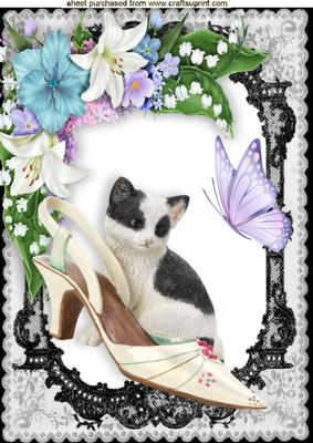 Kitten Shoe Butterflies with Flowers in Lace Frame A4