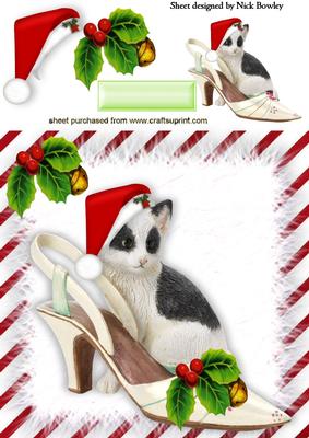 Kitten in Santa Hat in Shoe with Holly