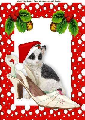Kitten in Santa Hat in Snow Frame with Holly A4