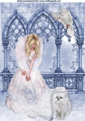 Beautiful Lady in White with White Cat A4