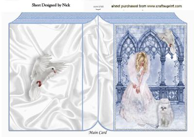 Beautiful Lady in White with White Cat Folded Book