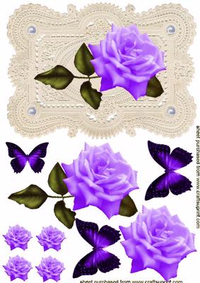 Stunning Elegant Purple Rose on Ecru Lace