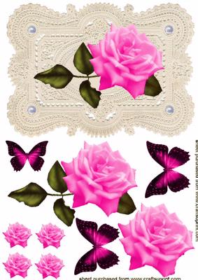 Stunning Elegant Cerise Pink Rose on Ecru Lace