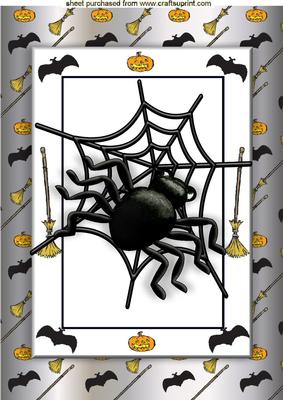 Black Spider in a Web in Halloween Frame A4