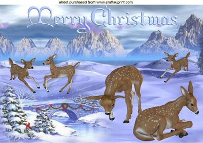 Deers Playing in the Snow A4