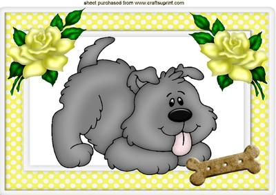 Little Grey Dog with Yellow Roses in Spotty Frame A4