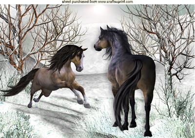 Playful Wild Horses in the Snow A4