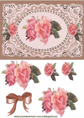 Beautiful Pink Rose on Framed Ecru Lace Background Quick Card
